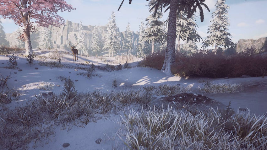 Winter Survival. Приготовление пищу