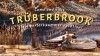Truberbrook – A Nerd Saves the World