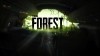 видео The Forest