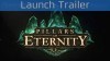 видео Pillars of Eternity