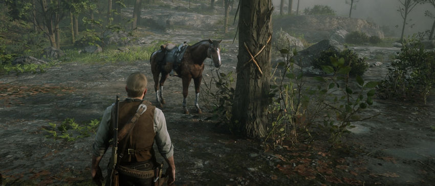 карта сокровищ Red Dead Redemption 2