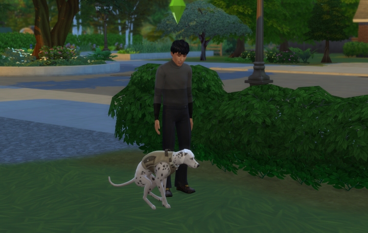 гайд по прохождению The Sims 4 кошки и собаки