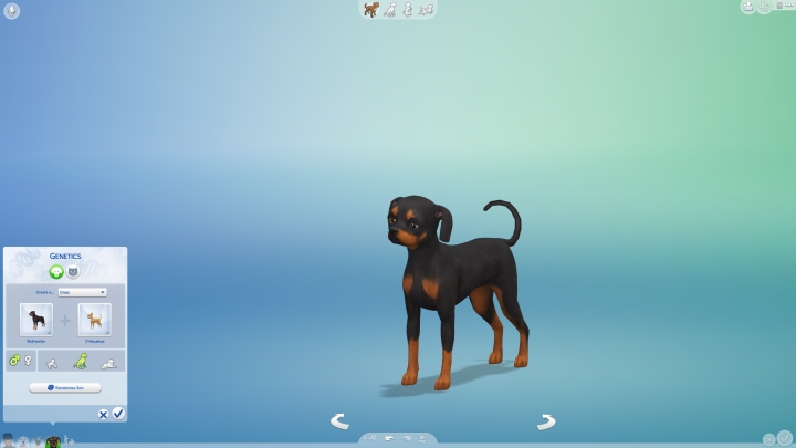 гайд по прохождению The Sims 4 кошки и собаки