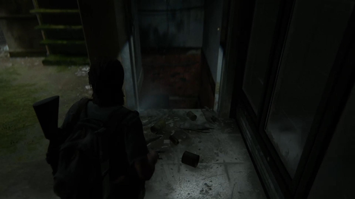 прохождение Одни из нас. Часть 2