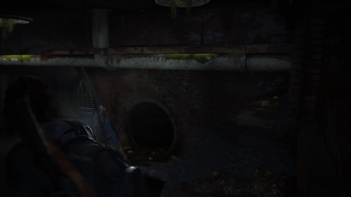 прохождение Одни из нас. Часть 2