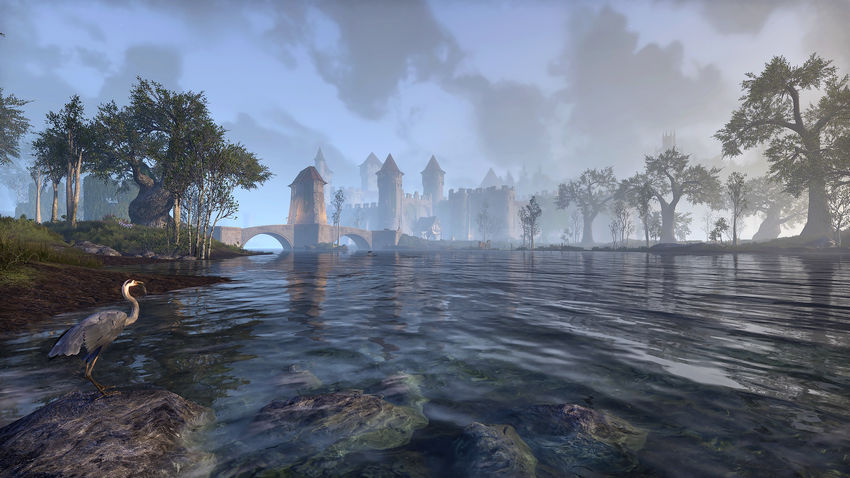 Elder Scrolls Online