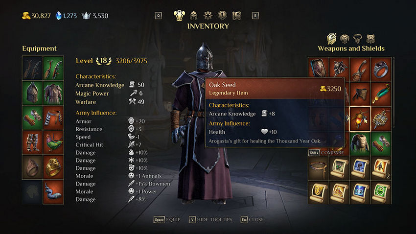 оружие и доспехи King's Bounty 2