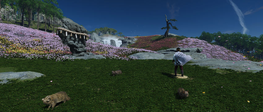 заповедники Tale of the Iki Island