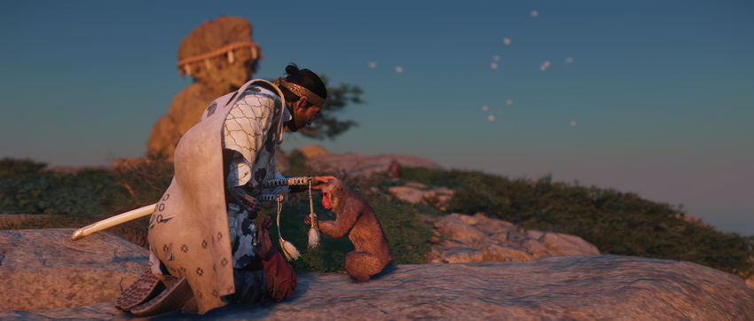 заповедники Tale of the Iki Island