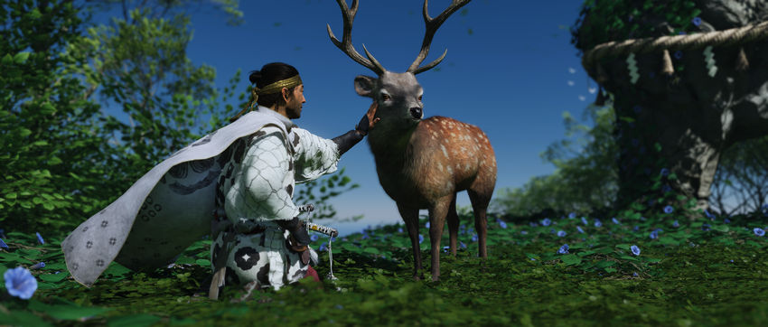 заповедники Tale of the Iki Island