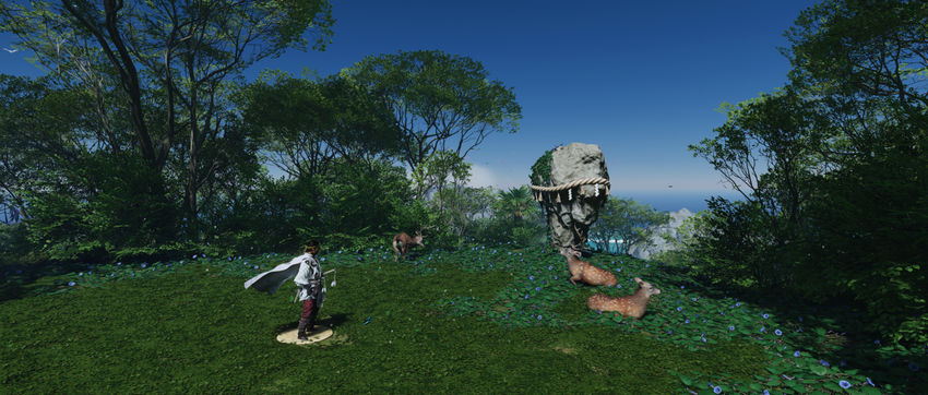 заповедники Tale of the Iki Island