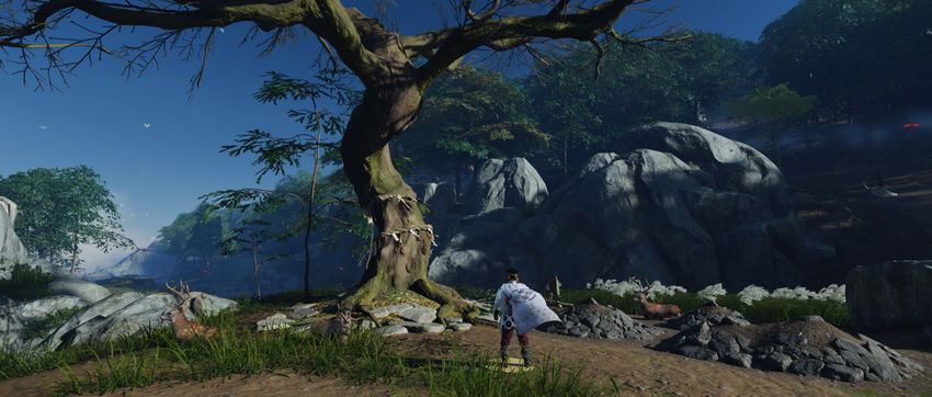 заповедники Tale of the Iki Island
