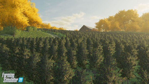 покупка и продажа в Farming Simulator 22