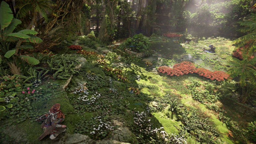 прохождение Horizon Запретный Запад