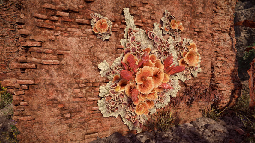 кристаллы наросты Horizon Запретный Запад