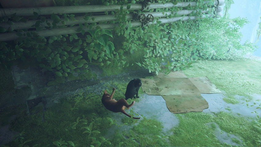 прохождение Stray