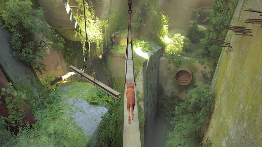 прохождение Stray