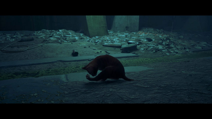 прохождение Stray