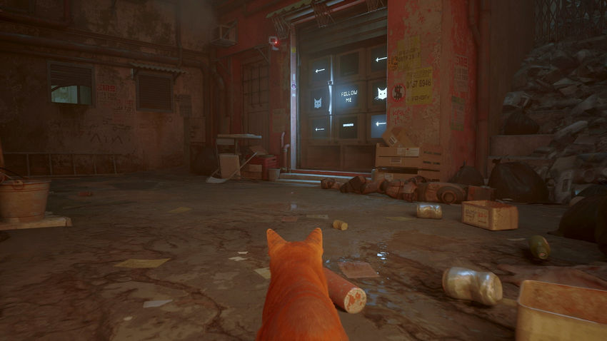 прохождение Stray