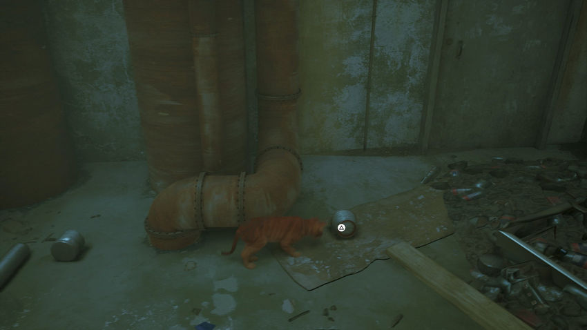 прохождение Stray