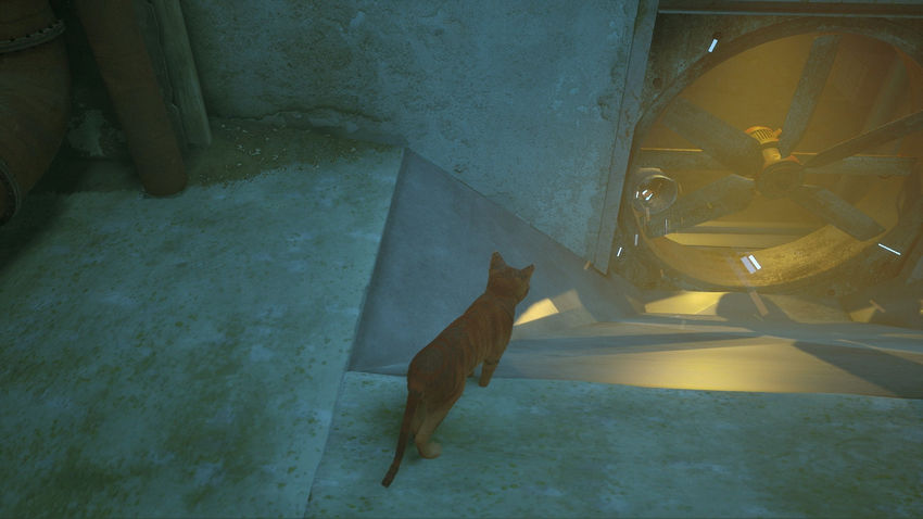 прохождение Stray