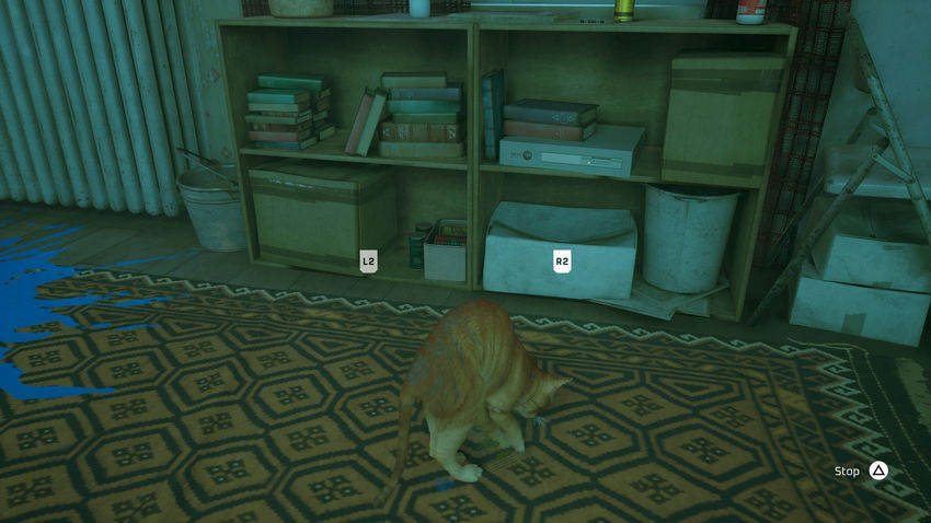 прохождение Stray