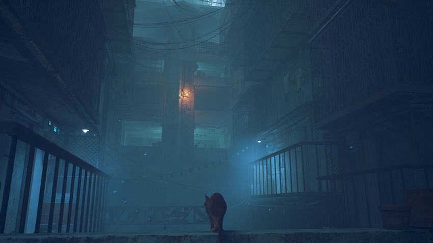 прохождение Stray