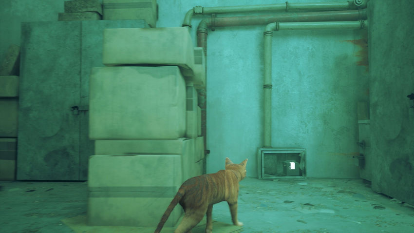 прохождение Stray