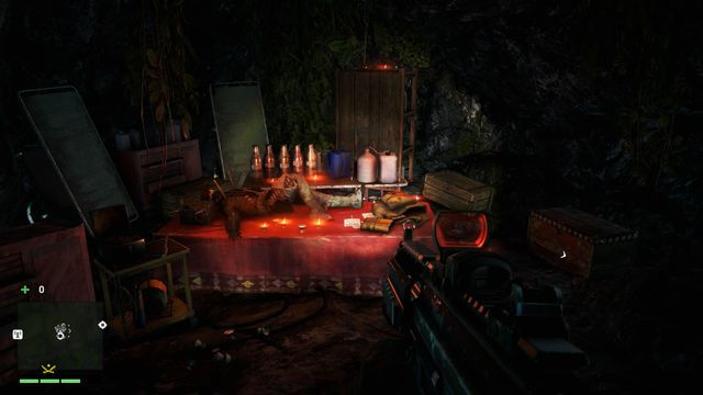 письма и плакаты Far Cry 4