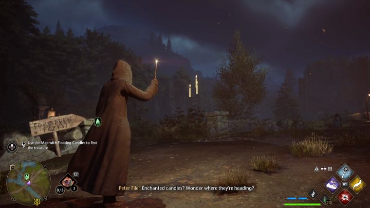 дополнительные задания Hogwarts Legacy