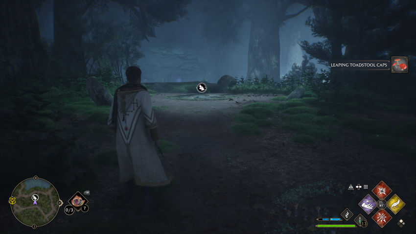 испытания Мерлина Hogwarts Legacy