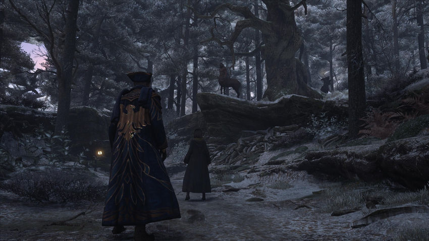 прохождение Hogwarts Legacy сюжет