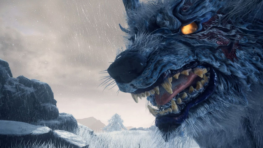 прохождение Wild Hearts