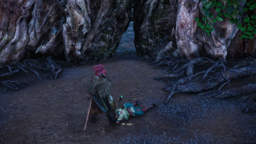 прохождение Wild Hearts