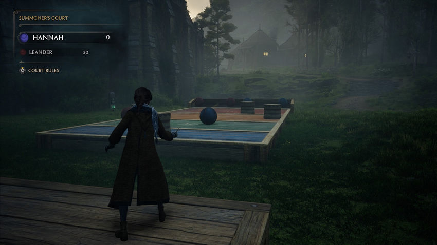 дополнительные задания Hogwarts Legacy