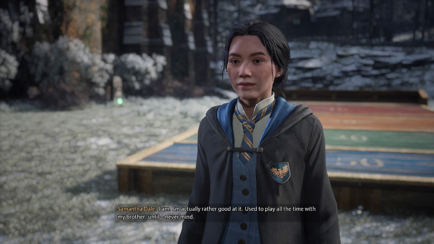 дополнительные задания Hogwarts Legacy
