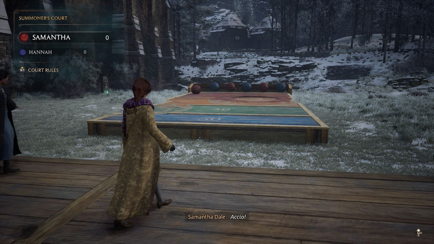 дополнительные задания Hogwarts Legacy