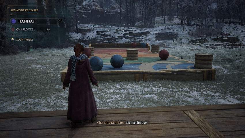 дополнительные задания Hogwarts Legacy