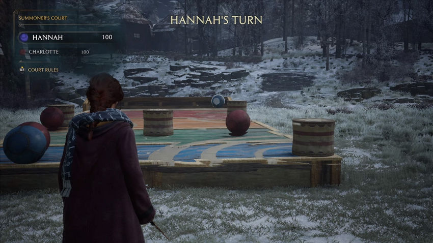 дополнительные задания Hogwarts Legacy