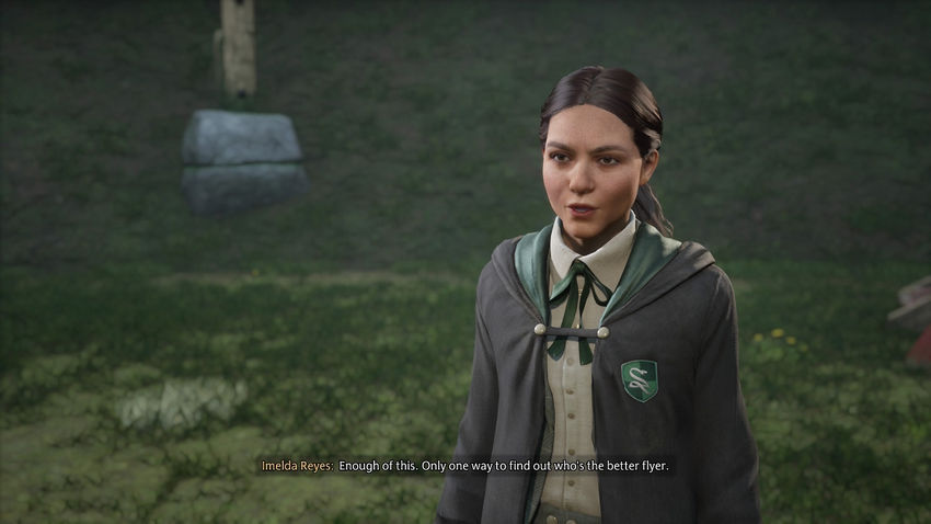 дополнительные задания Hogwarts Legacy