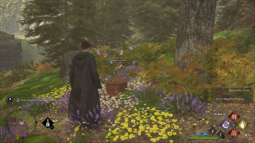 дополнительные задания Hogwarts Legacy