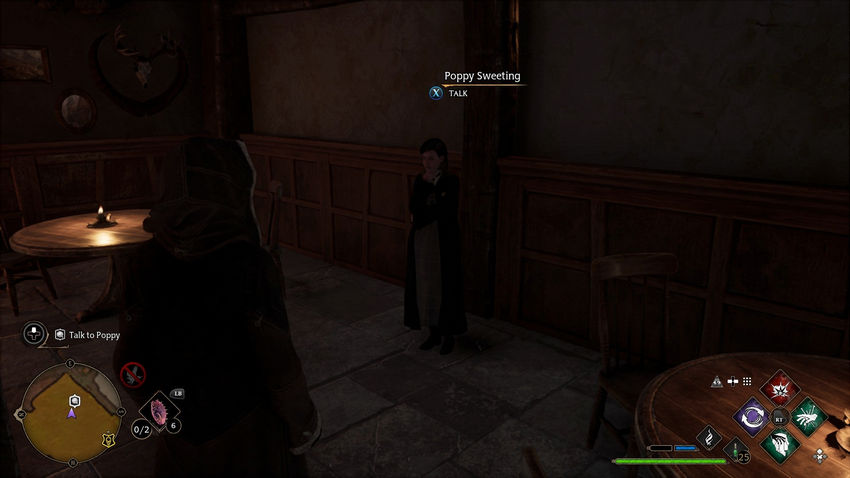 дополнительные задания Hogwarts Legacy