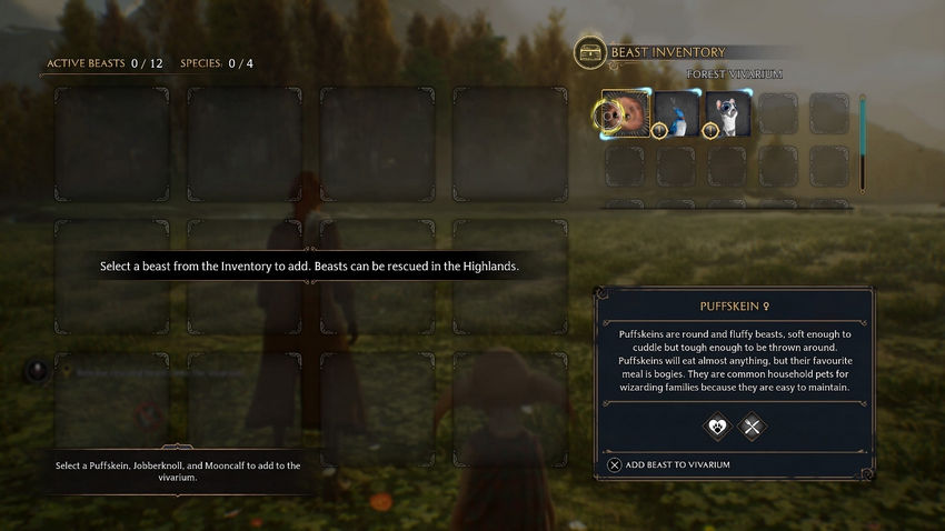 Комната Требований Hogwarts Legacy