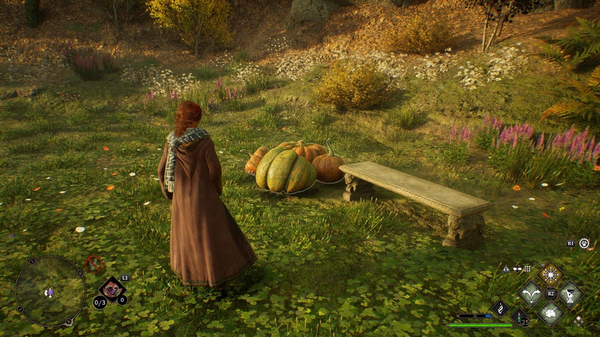 Комната Требований Hogwarts Legacy