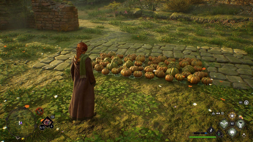 Комната Требований Hogwarts Legacy