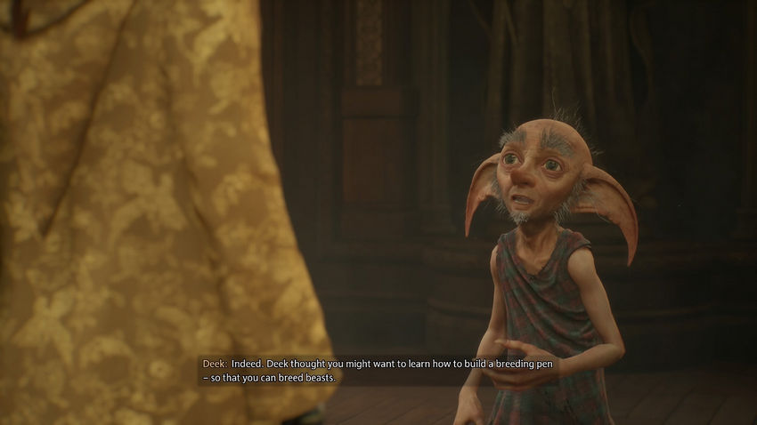 Комната Требований Hogwarts Legacy