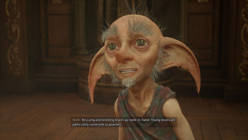 Комната Требований Hogwarts Legacy