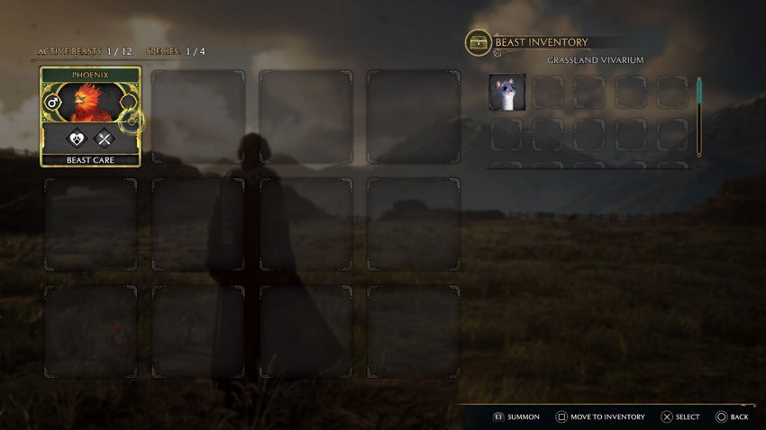 Комната Требований Hogwarts Legacy