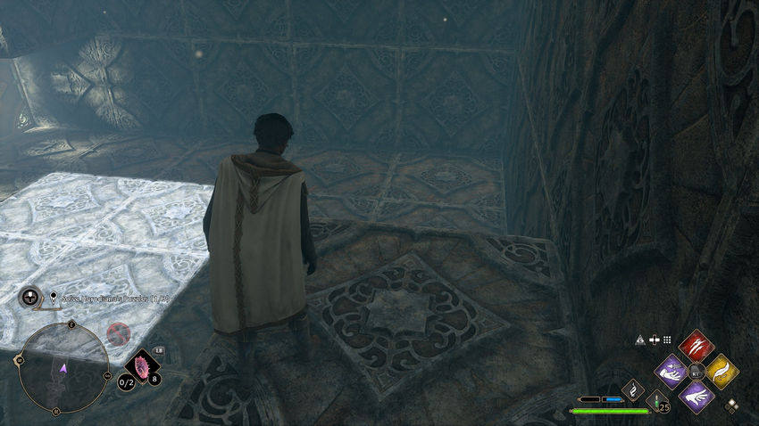 дополнительные задания Hogwarts Legacy