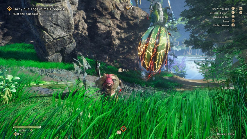 прохождение Wild Hearts